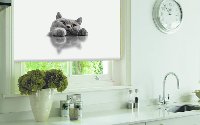 Фотопечать на рулонных шторах